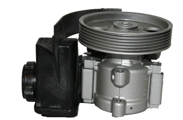 Hydraulic Pump, steering (07B494DA)