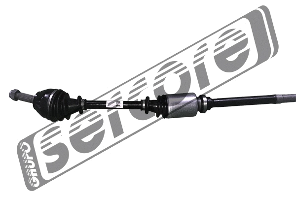 Drive Shaft