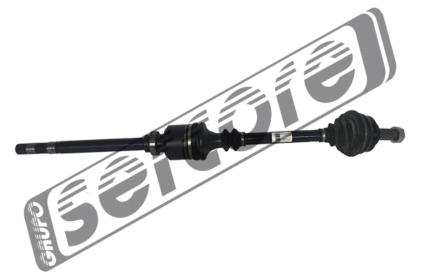 Drive Shaft (22453)