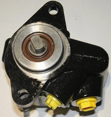 Hydraulic Pump, steering (07B406)