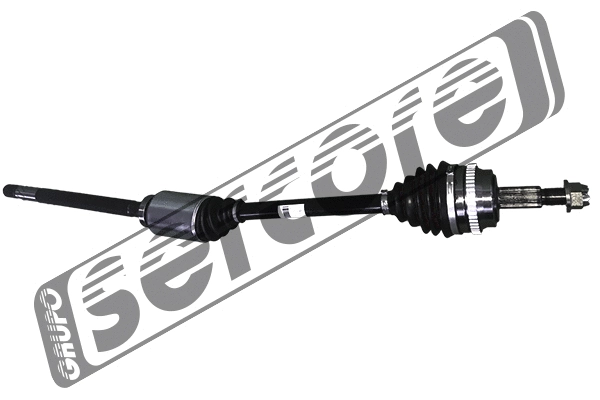 Drive Shaft