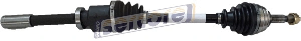 Drive Shaft (221562)