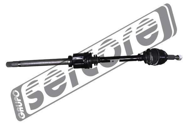 Drive Shaft (22829)