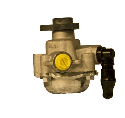 Hydraulic Pump, steering (07B419N)