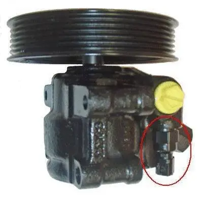 Hydraulic Pump, steering (07B907S)