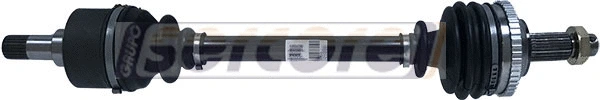 Drive Shaft (22450A)