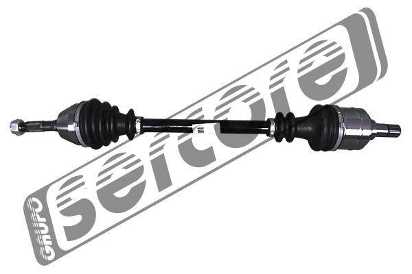Drive Shaft (22752)