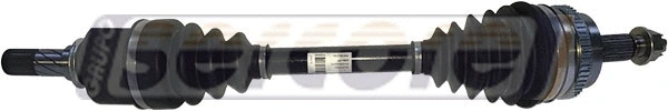 Drive Shaft