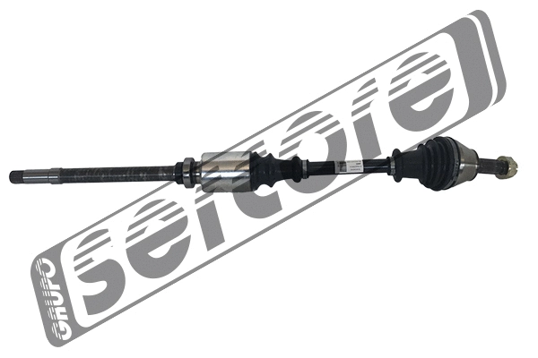 Drive Shaft