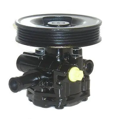 Hydraulic Pump, steering (07B489)