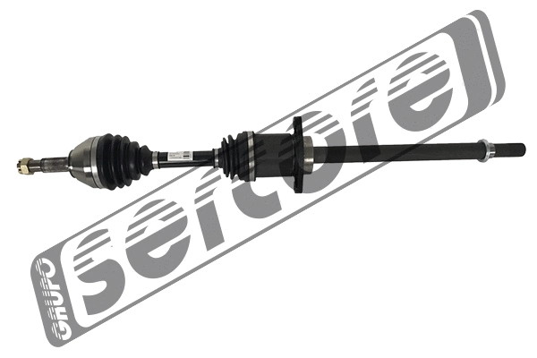 Drive Shaft (221606)