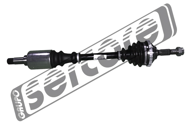Drive Shaft (22744)