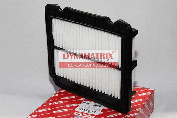Air Filter (DAF1915)