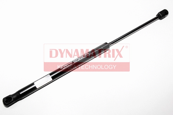Gas Spring, boot/cargo area (DGS016994)