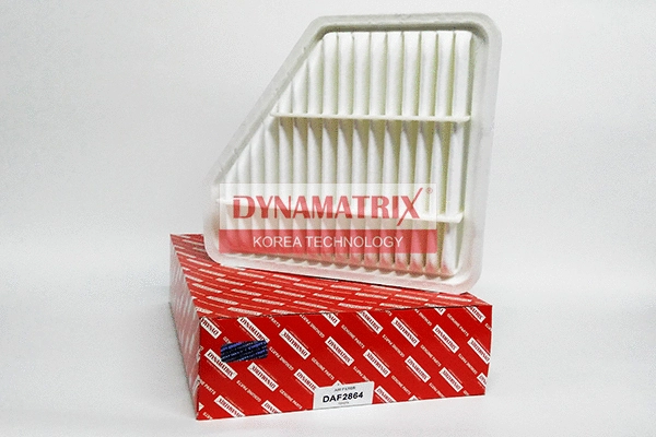 Air Filter (DAF2864)
