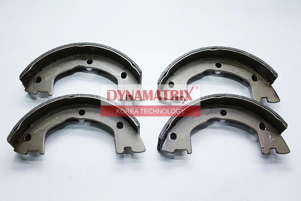 Brake Shoe Set (DBS593)