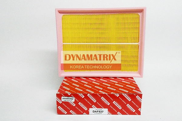 Air Filter (DAF537)