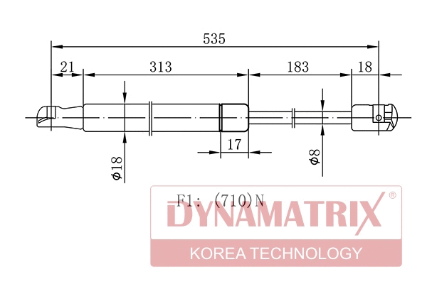Gas Spring, boot/cargo area (DGS100029)