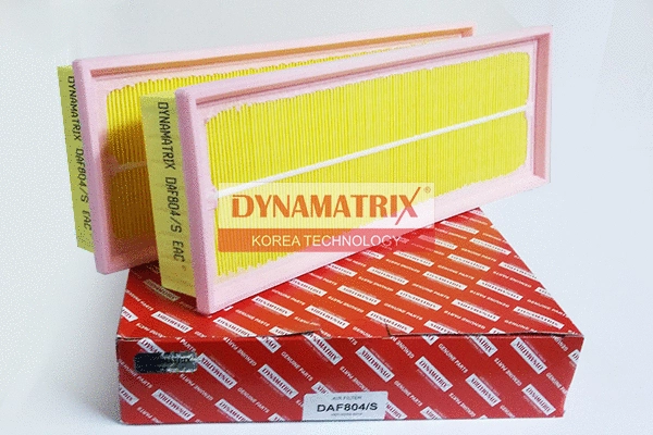 Air Filter (DAF804/S)