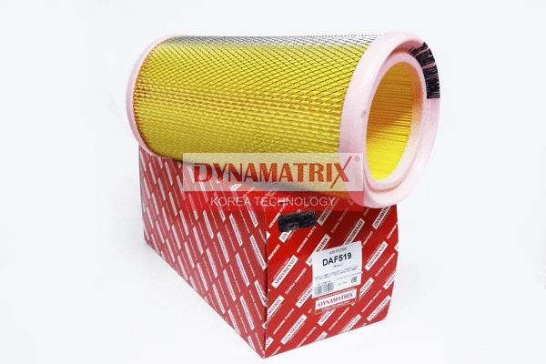 Air Filter (DAF519)