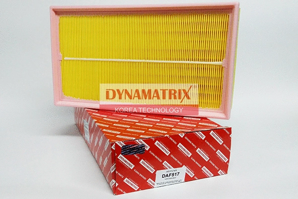 Air Filter (DAF517)