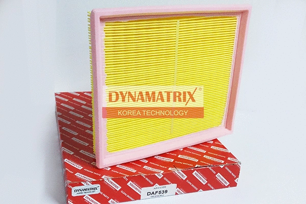 Air Filter (DAF539)