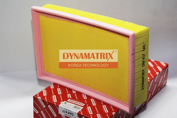 Air Filter (DAF417)