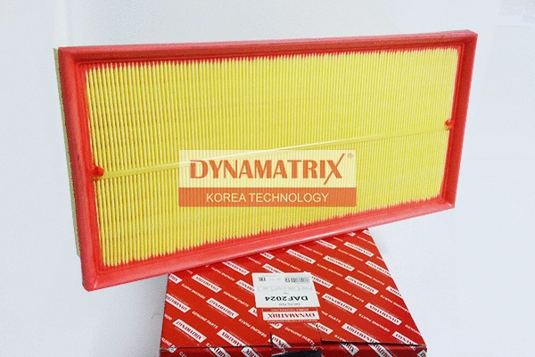 Air Filter (DAF2024)