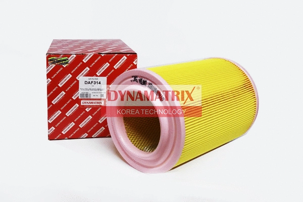 Air Filter (DAF314)