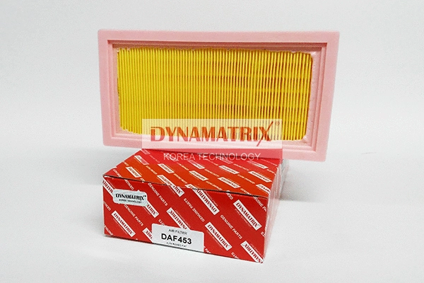 Air Filter (DAF453)
