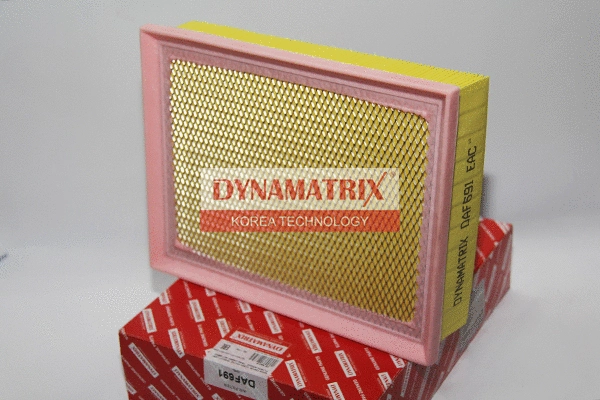 Air Filter (DAF691)