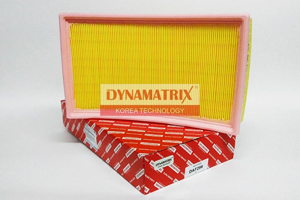 Air Filter (DAF296)
