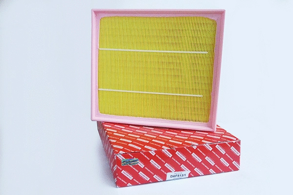 Air Filter (DAF513/1)