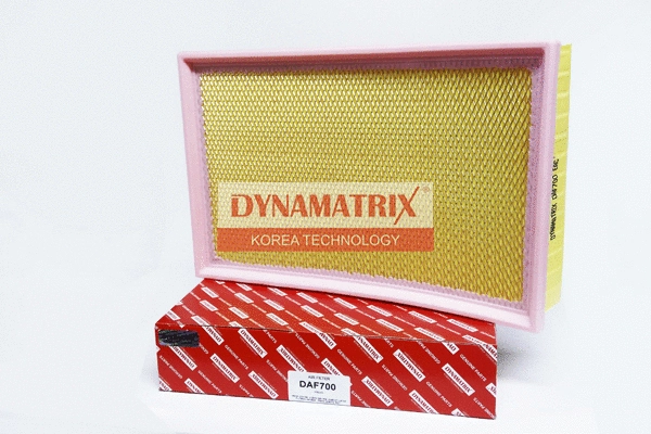 Air Filter (DAF700)