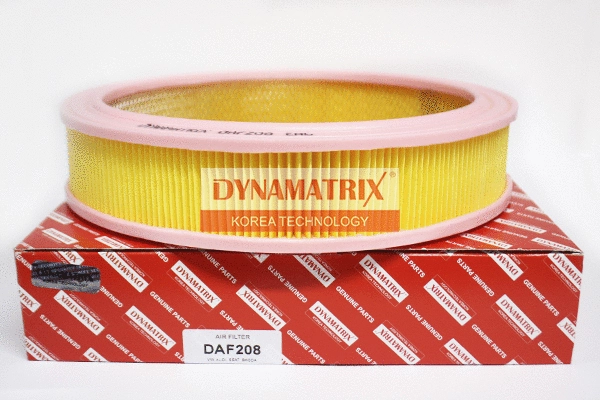 Air Filter (DAF208)
