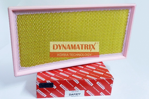Air Filter (DAF577)