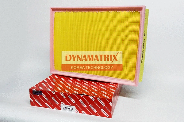 Air Filter (DAF1845)