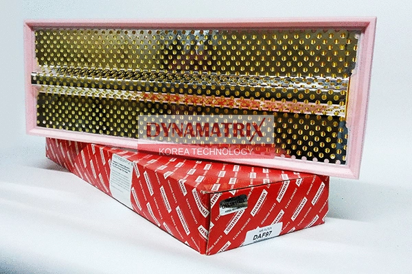Air Filter (DAF97)
