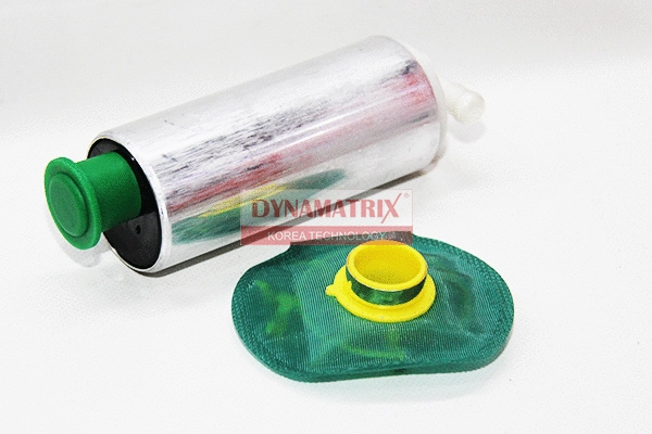 Fuel Pump (DFP430303G)