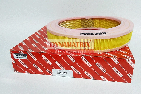 Air Filter (DAF69)