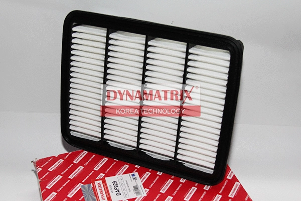 Air Filter (DAF929)