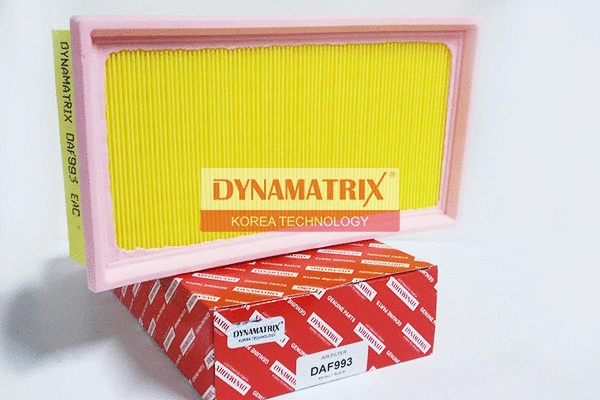 Air Filter (DAF993)
