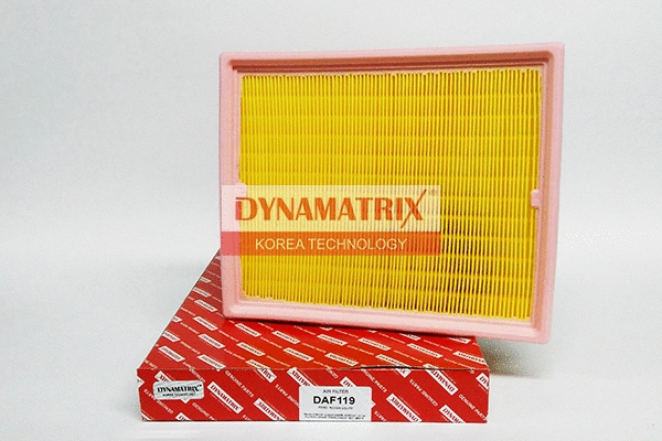 Air Filter (DAF119)