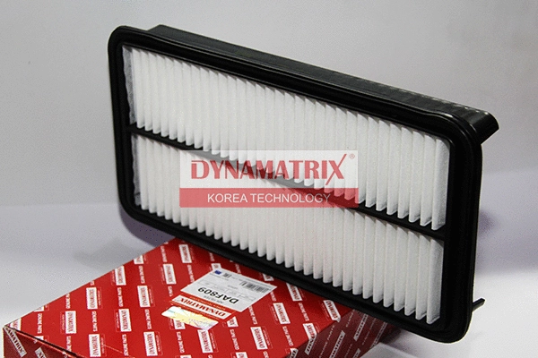 Air Filter (DAF809)