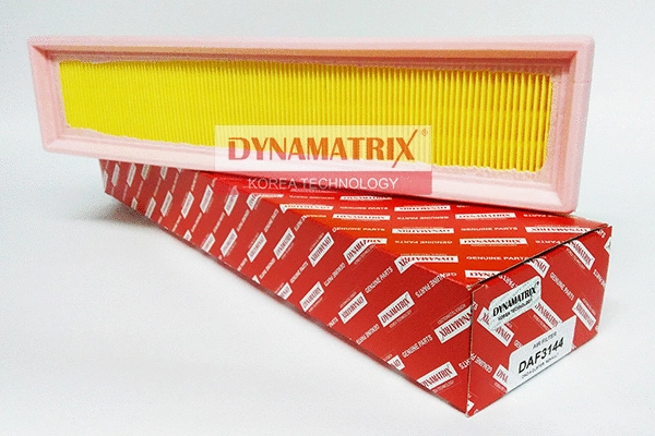 Air Filter (DAF3144)