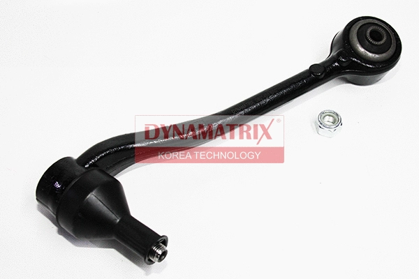 Control/Trailing Arm, wheel suspension (DS21456)