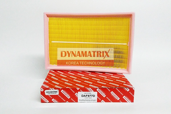 Air Filter (DAF977D)