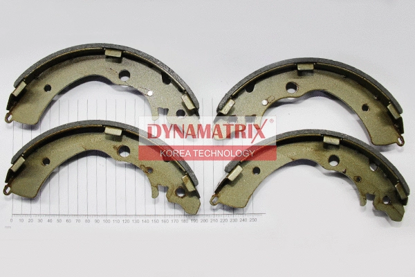 Brake Shoe Set (DBS318)