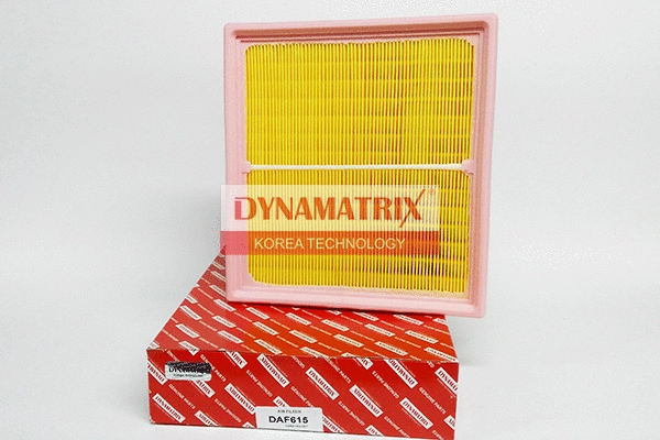 Air Filter (DAF615)