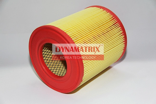 Air Filter (DAF1253)